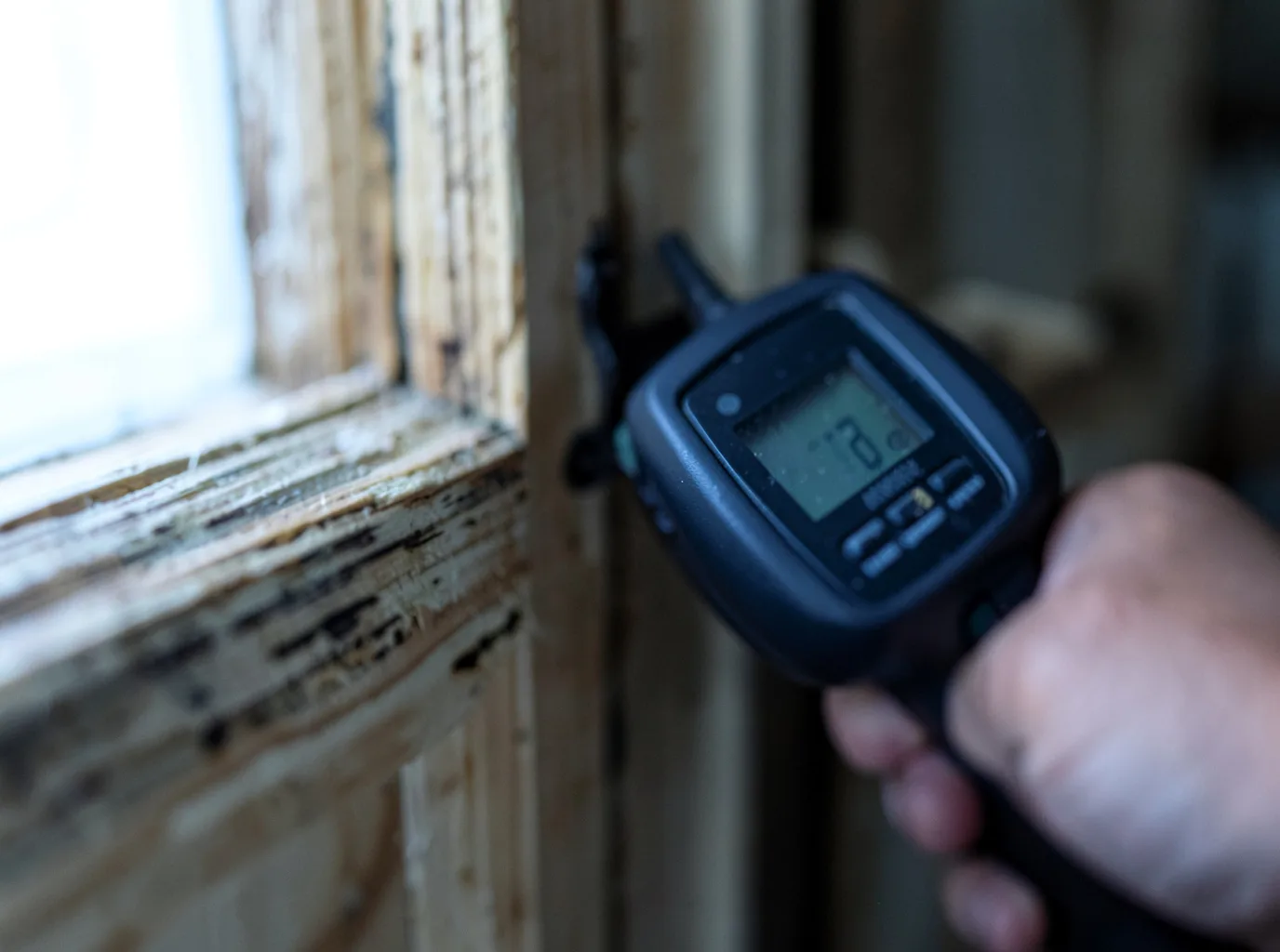 Commercial Water Damage Restoration in High Rolls Mountain Park, NM